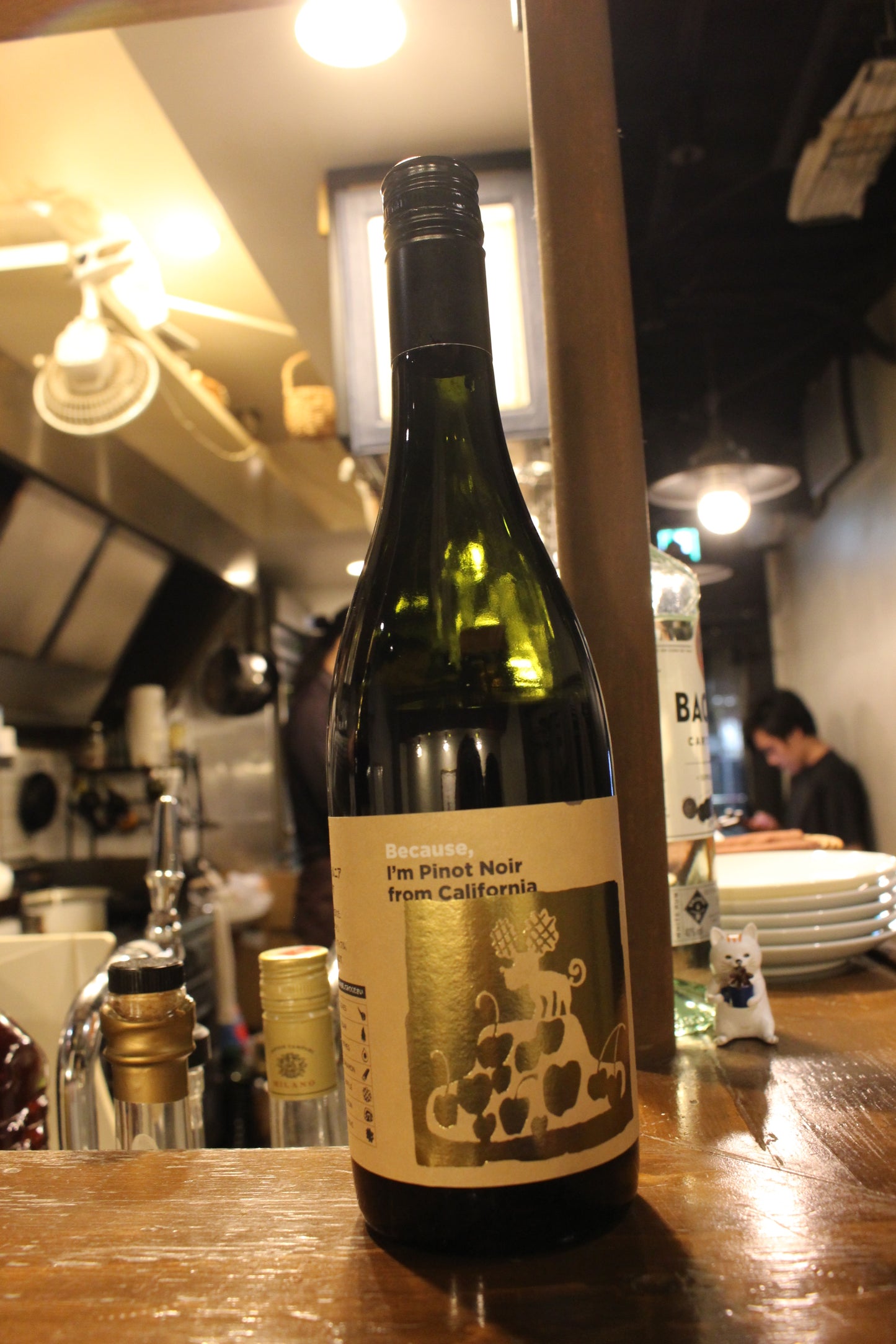 2024年12月 月替わり赤ワイン ビコーズ ワイン シリーズ Because, Wine Series アイム・ピノ・ノワール from カリフォルニア NV 赤 アメリカ産