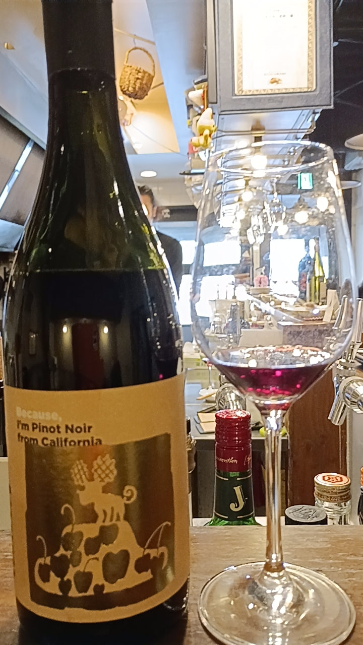 2026年4月 月替わり赤ワイン ビコーズ ワイン シリーズ Because, Wine Series アイム・ピノ・ノワール from カリフォルニア NV 赤 アメリカ産