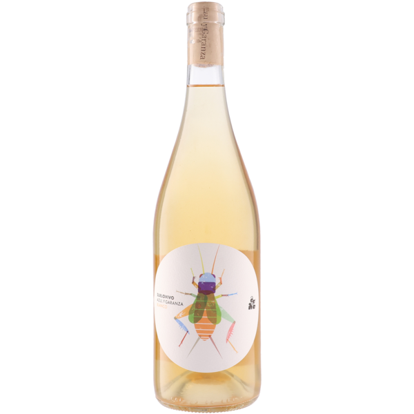 スエロ・ヴィヴォ ブランコ ペアリングワインショップ バックストリート