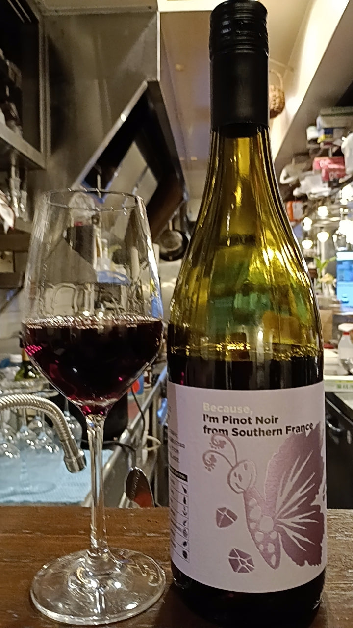 ２０２６年７月　月替わり赤ワイン  ビコーズ　ワイン　シリーズ　Because, Wine Series  アイム・ピノ・ノワール from サザン・フランス　南フランス　赤  フランス産